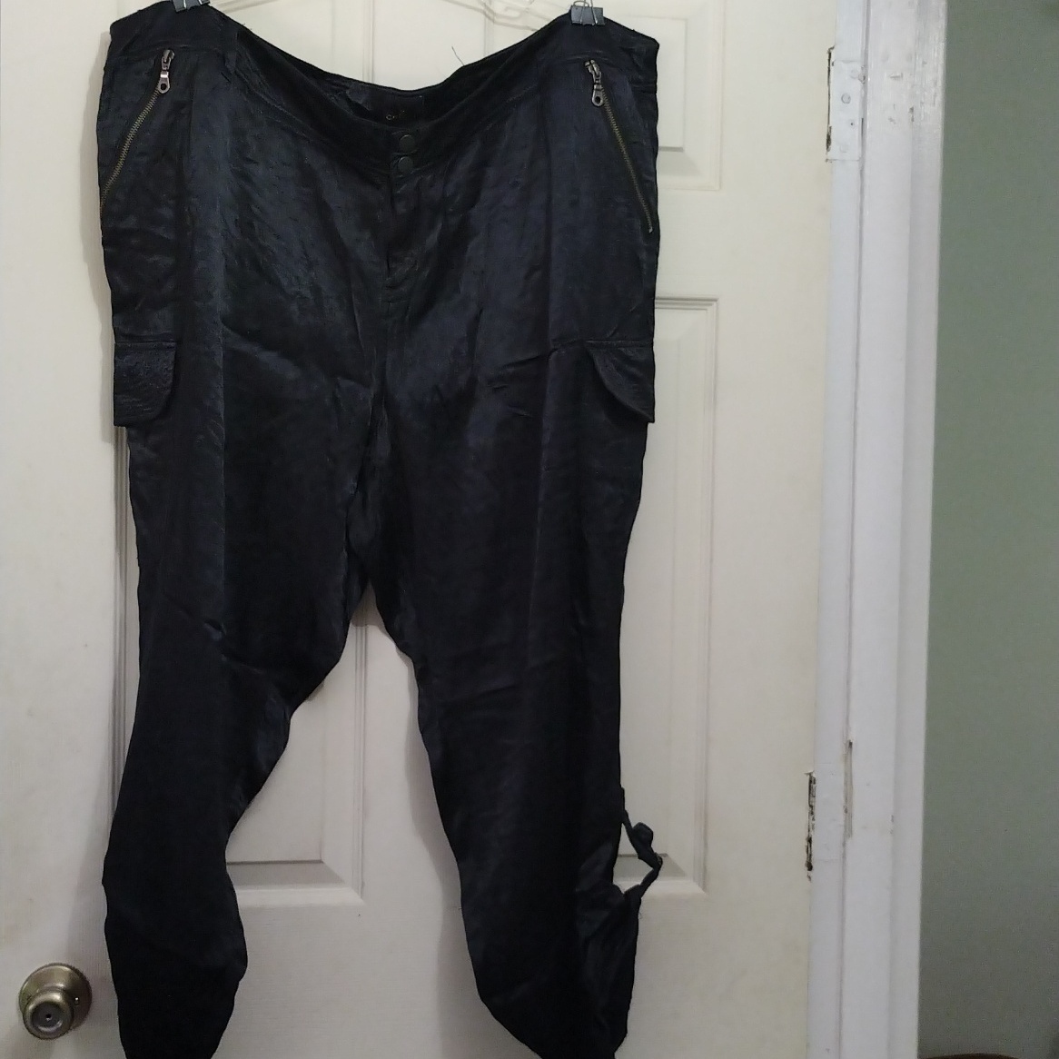 Torrid Z Cavaricci Pants With Pockets Size 26